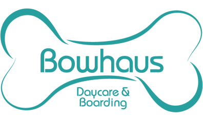 NVA - Bowhaus 0854 - Header 2
